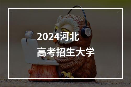 2024河北高考招生大学