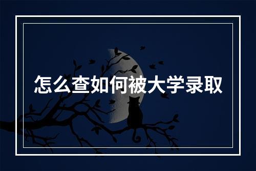 怎么查如何被大学录取