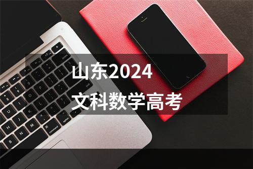 山东2024文科数学高考