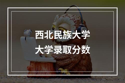 西北民族大学大学录取分数