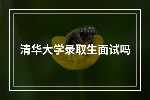 清华大学录取生面试吗