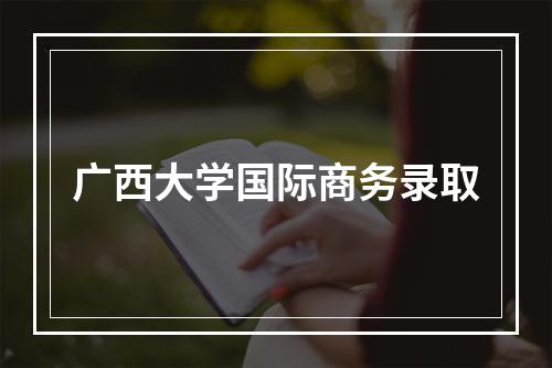 广西大学国际商务录取