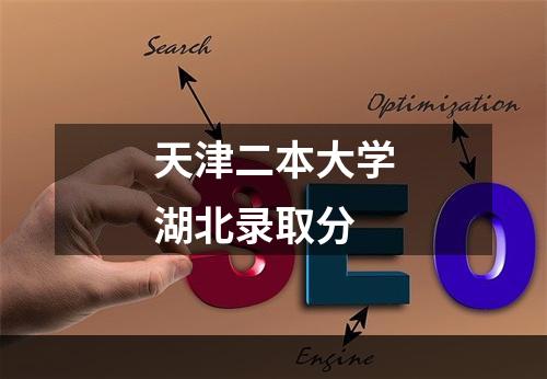 天津二本大学湖北录取分