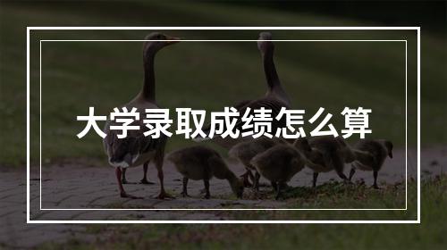 大学录取成绩怎么算