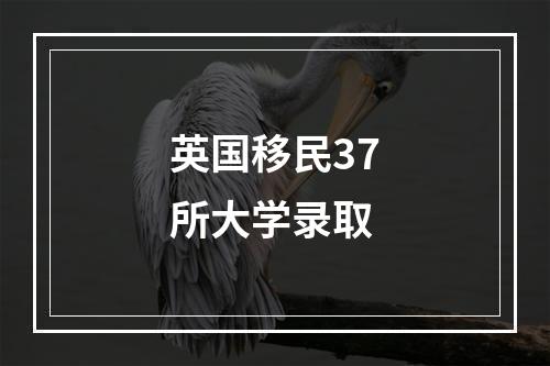 英国移民37所大学录取