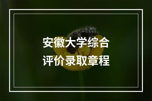 安徽大学综合评价录取章程