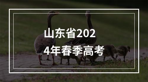 山东省2024年春季高考