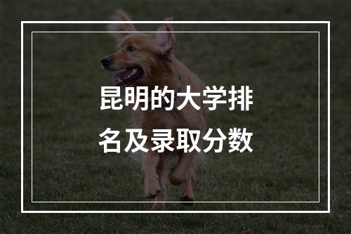 昆明的大学排名及录取分数