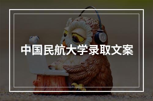 中国民航大学录取文案