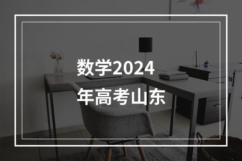 数学2024年高考山东