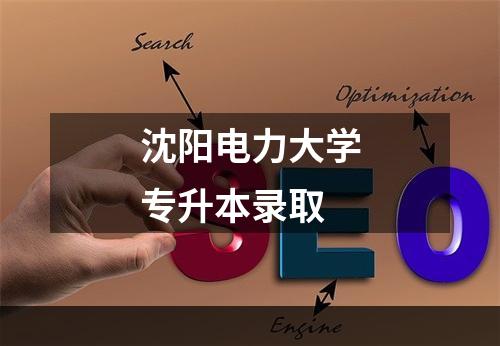 沈阳电力大学专升本录取