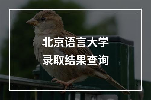 北京语言大学录取结果查询