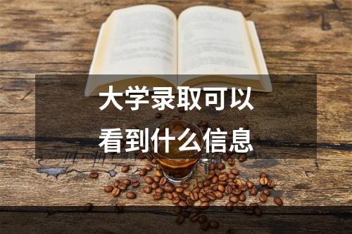 大学录取可以看到什么信息