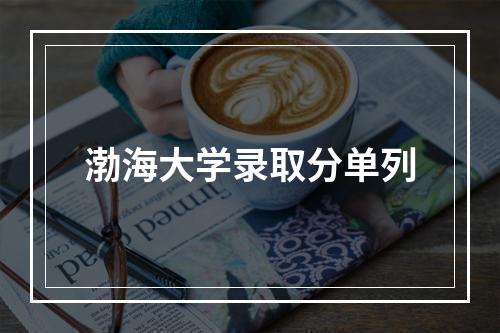 渤海大学录取分单列