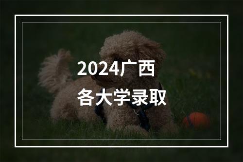 2024广西各大学录取