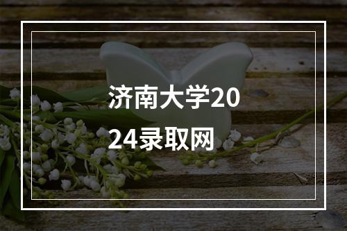 济南大学2024录取网