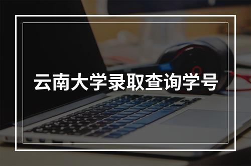 云南大学录取查询学号