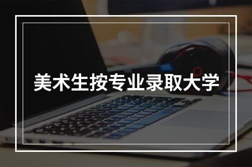 美术生按专业录取大学