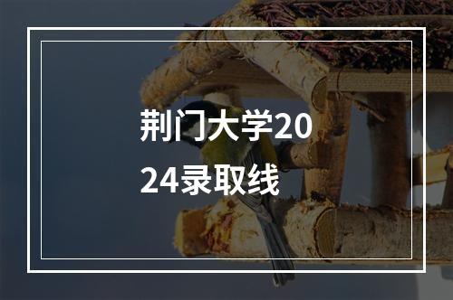 荆门大学2024录取线