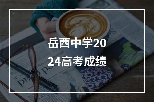 岳西中学2024高考成绩