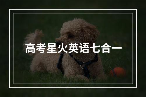 高考星火英语七合一