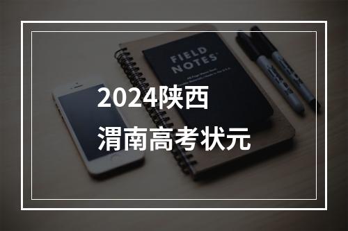 2024陕西渭南高考状元