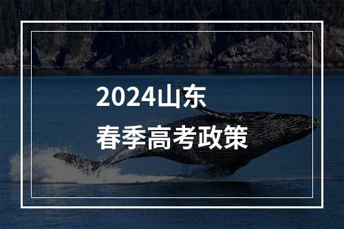 2024山东春季高考政策