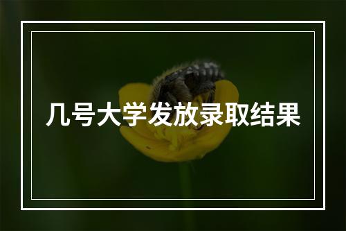 几号大学发放录取结果