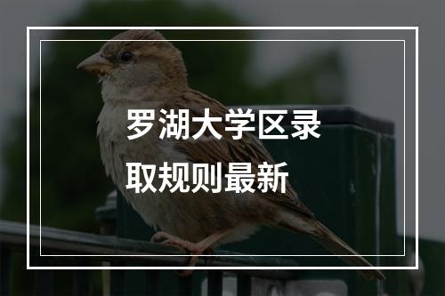 罗湖大学区录取规则最新