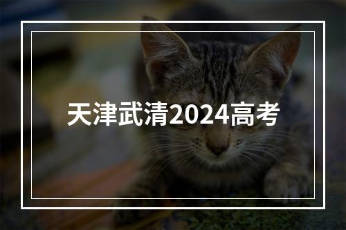 天津武清2024高考