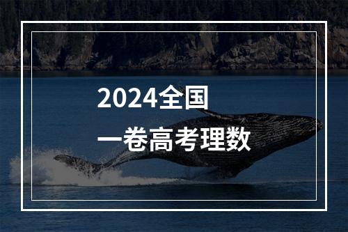 2024全国一卷高考理数