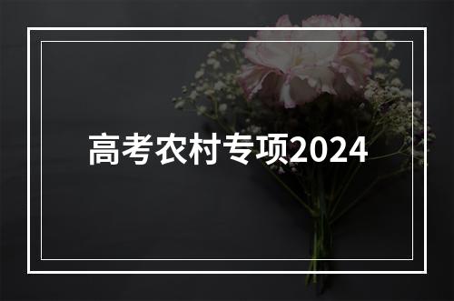 高考农村专项2024