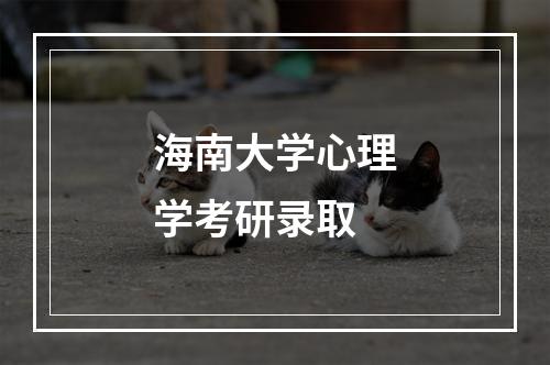 海南大学心理学考研录取