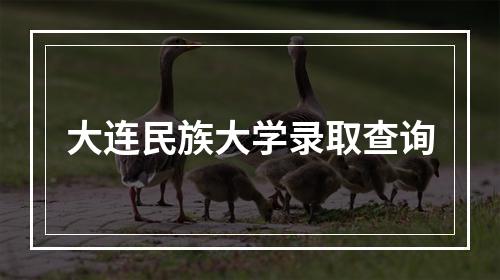 大连民族大学录取查询