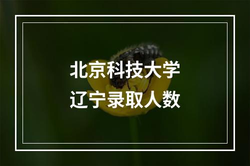 北京科技大学辽宁录取人数