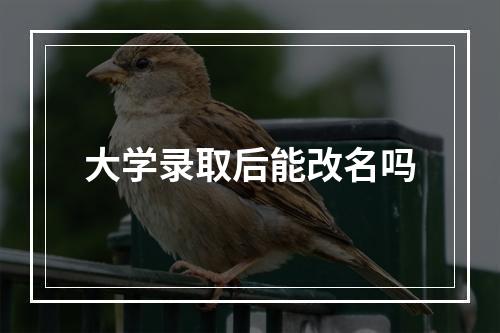 大学录取后能改名吗