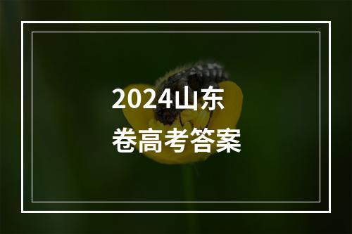 2024山东卷高考答案