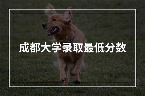 成都大学录取最低分数