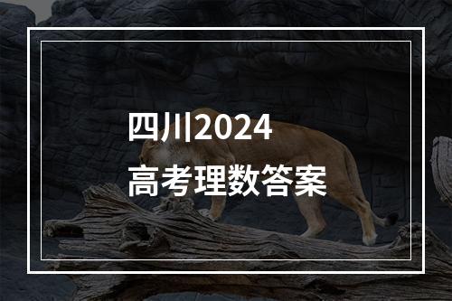 四川2024高考理数答案