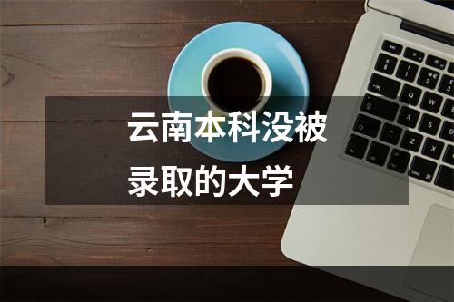 云南本科没被录取的大学