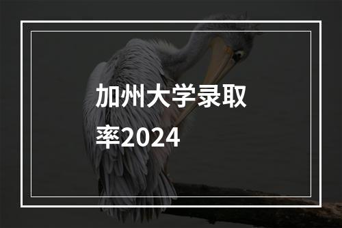 加州大学录取率2024