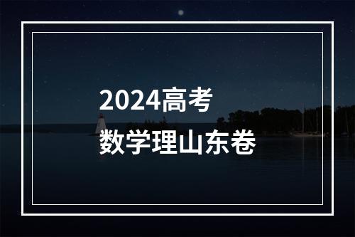 2024高考数学理山东卷