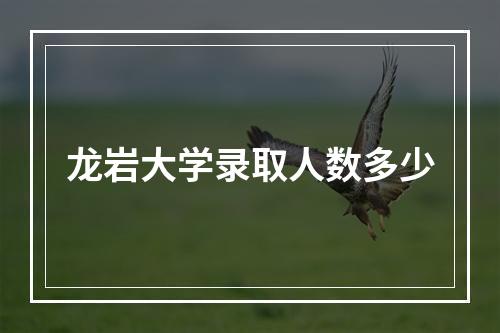 龙岩大学录取人数多少