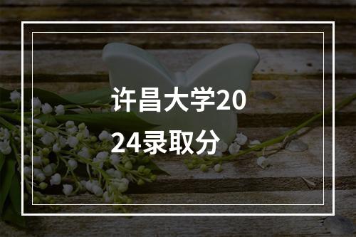 许昌大学2024录取分