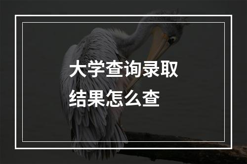 大学查询录取结果怎么查