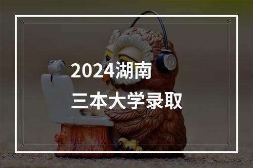 2024湖南三本大学录取