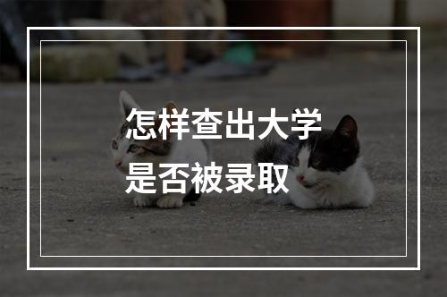 怎样查出大学是否被录取