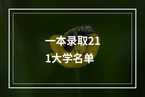 一本录取211大学名单