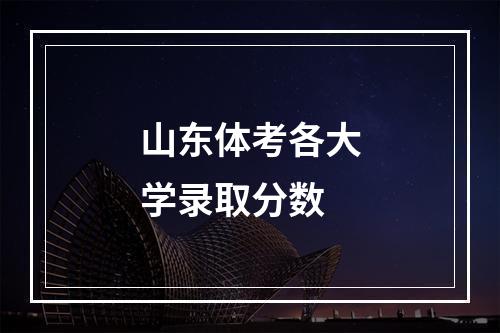 山东体考各大学录取分数