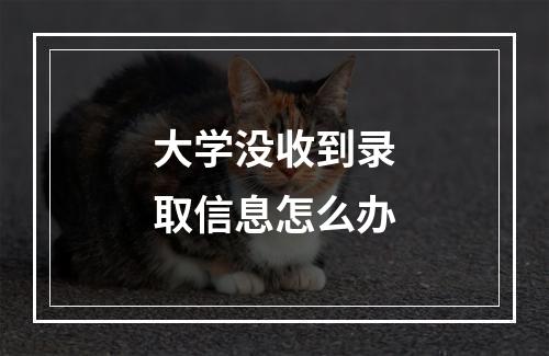 大学没收到录取信息怎么办